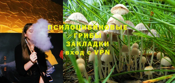 PSILOCYBIN Бугульма